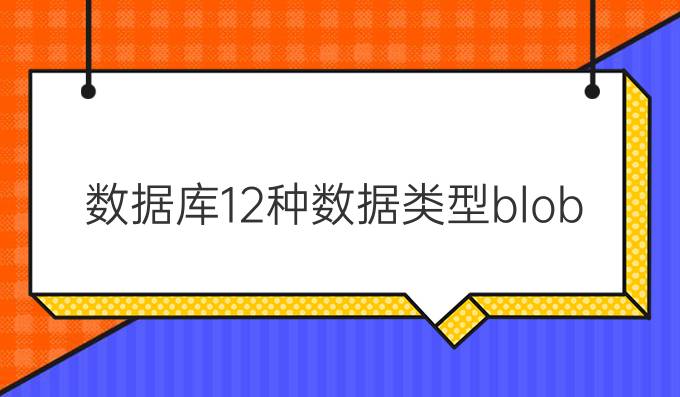 数据库12种数据类型blob