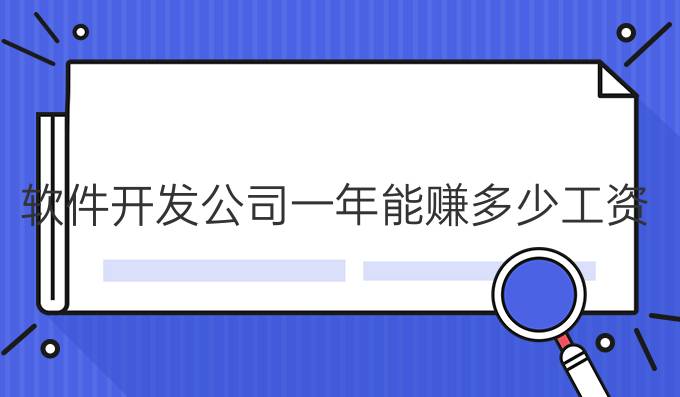 软件开发公司一年能赚多少工资