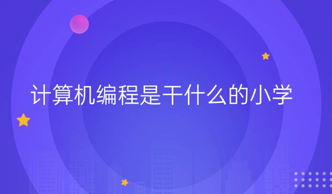 计算机编程是干什么的小学