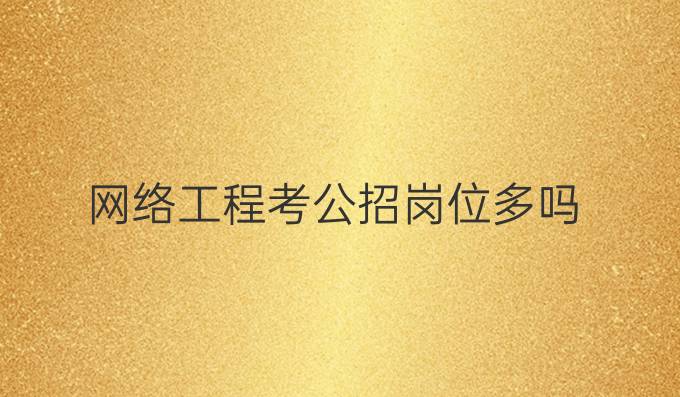 网络工程考公招岗位多吗