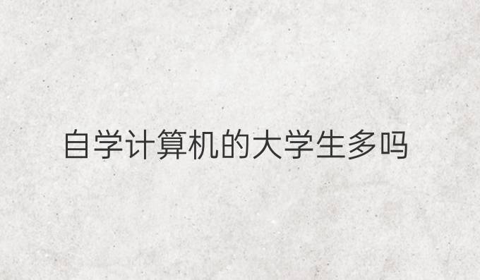 自学计算机的大学生多吗