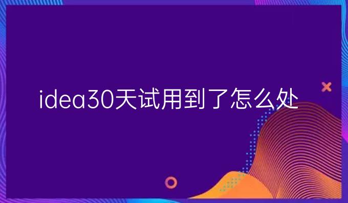 idea30天试用到了怎么处理