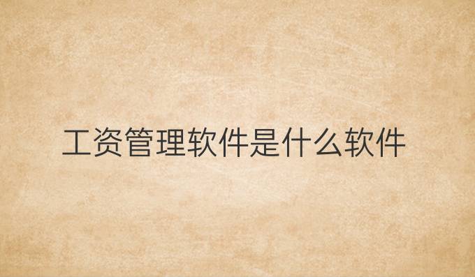工资管理软件是什么软件