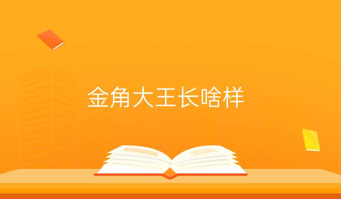 金角大王长啥样