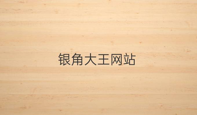 银角大王网站