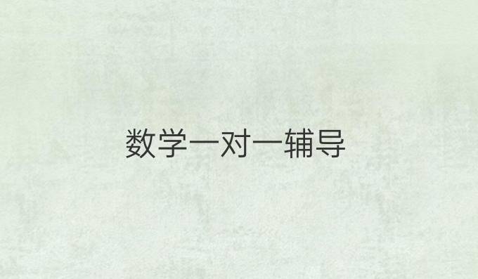 数学一对一辅导