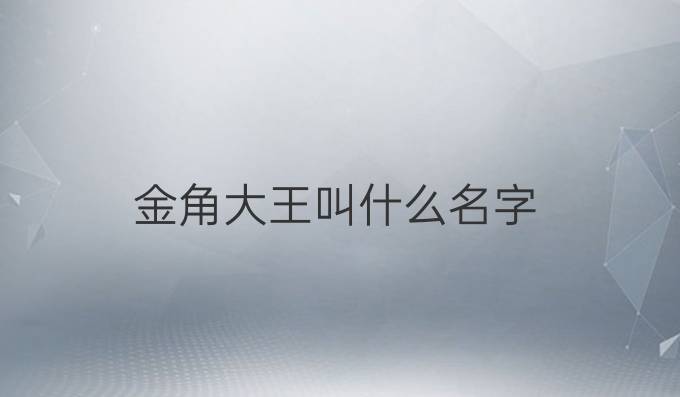 金角大王叫什么名字