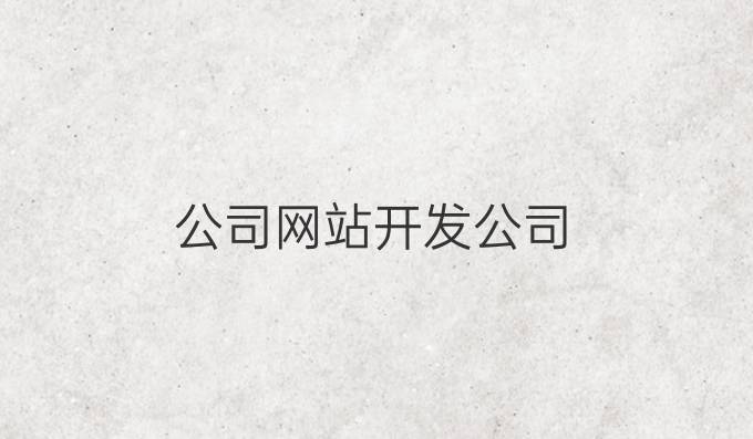 公司网站开发公司