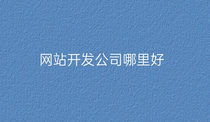 网站开发公司哪里好