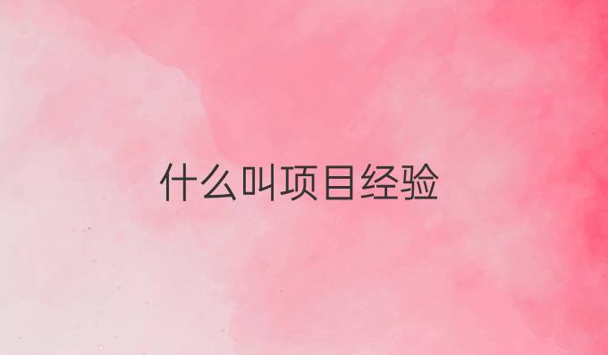 什么叫项目经验