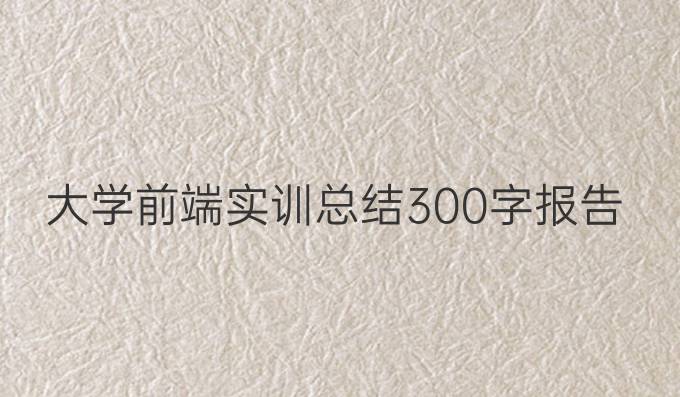 大学前端实训总结300字报告