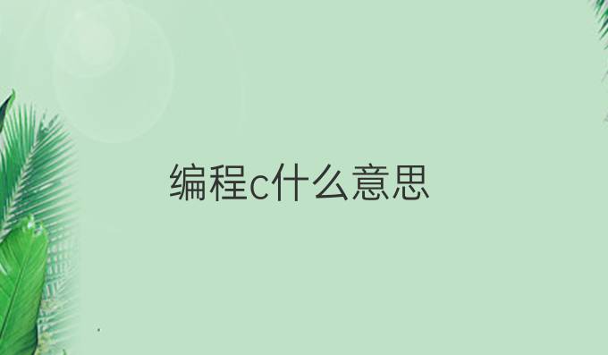 编程c什么意思
