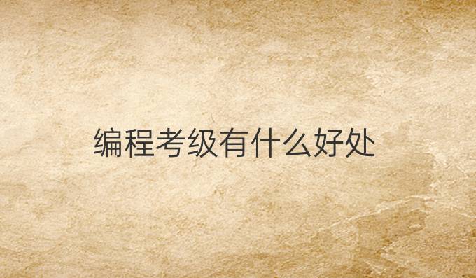 编程考级有什么好处