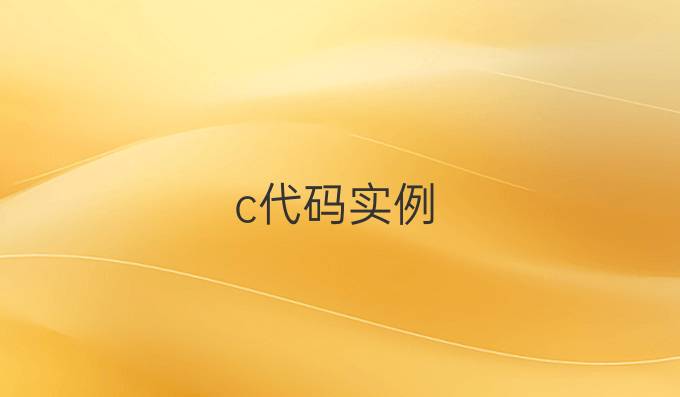 c代码实例