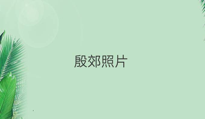殷郊照片