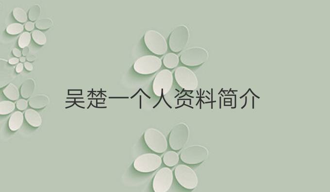 吴楚一个人资料简介