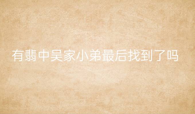 有翡中吴家小弟最后找到了吗