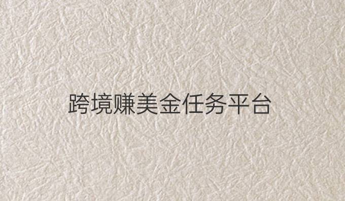 跨境赚美金任务平台