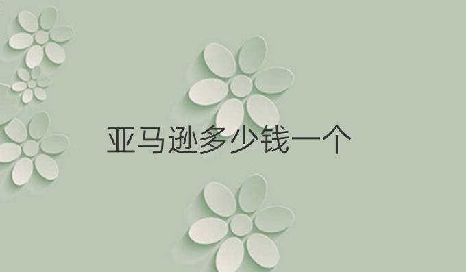 亚马逊多少钱一个