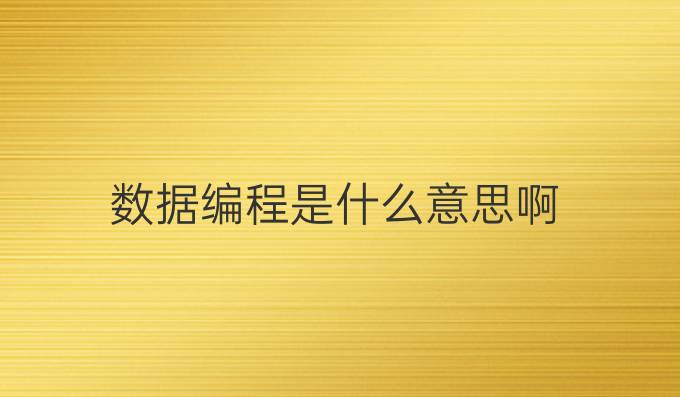 数据编程是什么意思啊