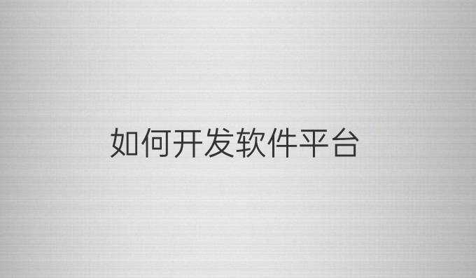 如何开发软件平台