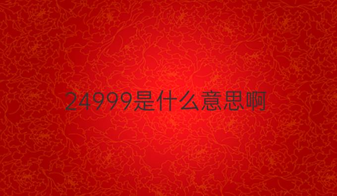 24999是什么意思啊