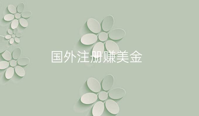 国外注册赚美金
