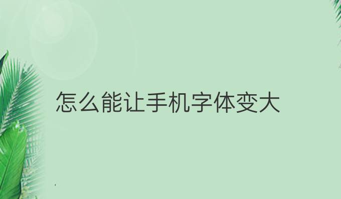 怎么能让手机字体变大