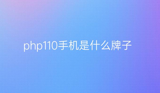 php110手机是什么牌子