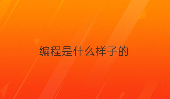 编程是什么样子的