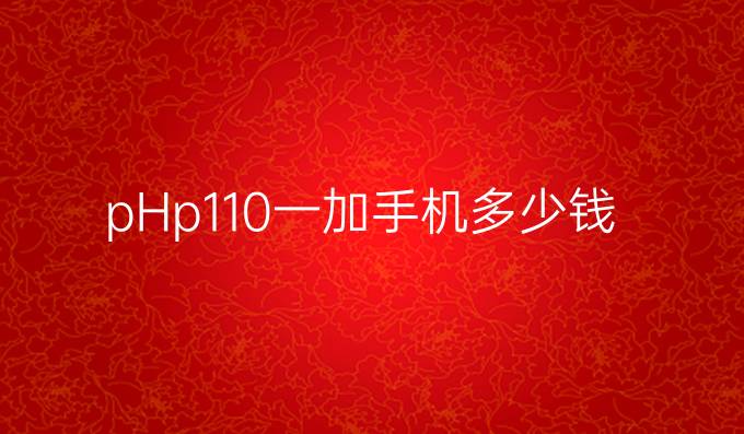 pHp110一加手机多少钱