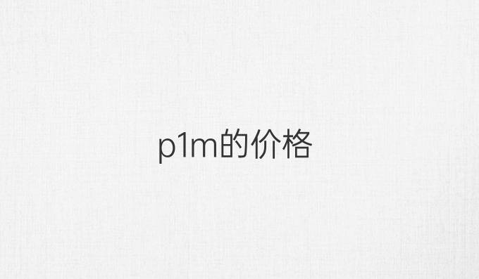 p1m的价格