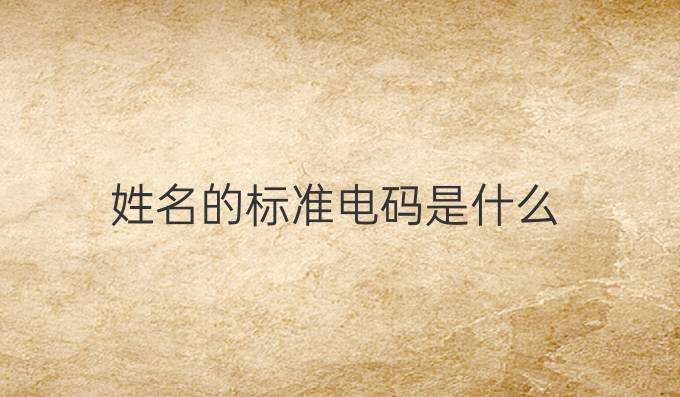 姓名的标准电码是什么