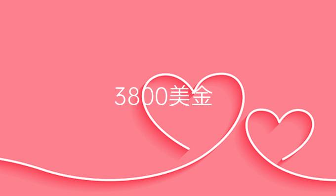 3800美金