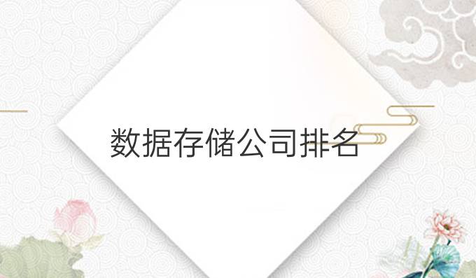 数据存储公司排名