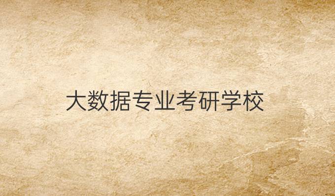 大数据专业考研学校