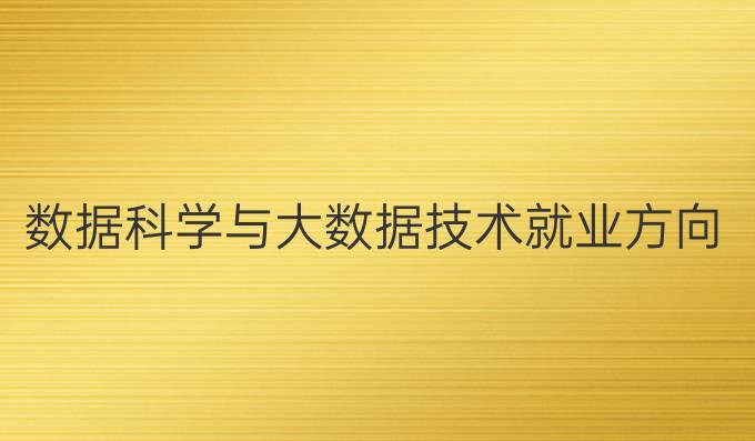 数据科学与大数据技术就业方向