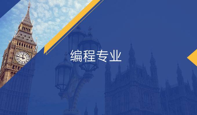 编程专业