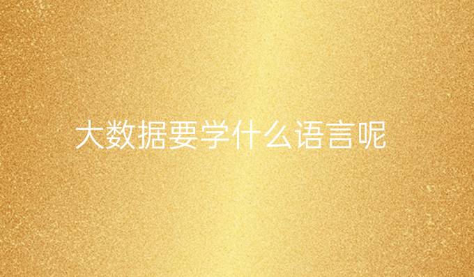 大数据要学什么语言呢