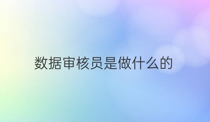 数据审核员是做什么的