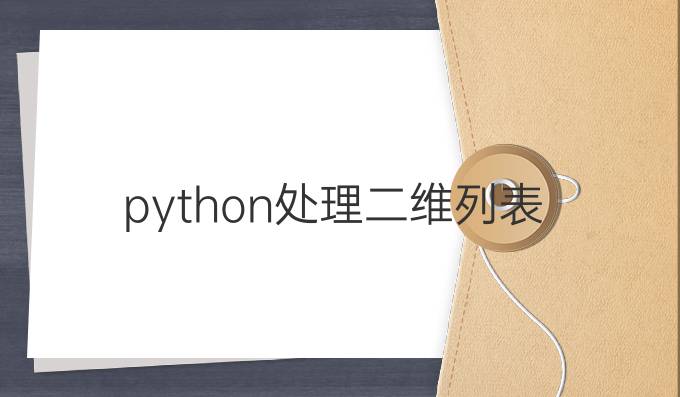 python处理二维列表