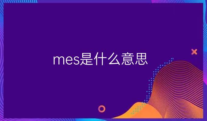 mes是什么意思