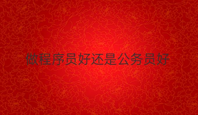 做程序员好还是公务员好