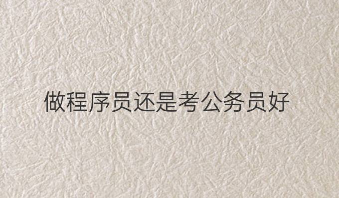 做程序员还是考公务员好