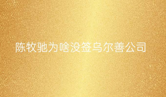 陈牧驰为啥没签乌尔善公司