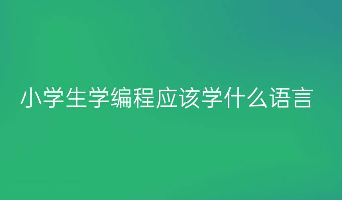 小学生学编程应该学什么语言