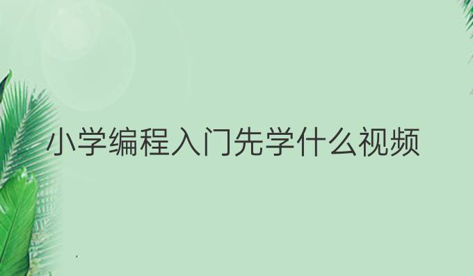 小学编程入门先学什么 视频