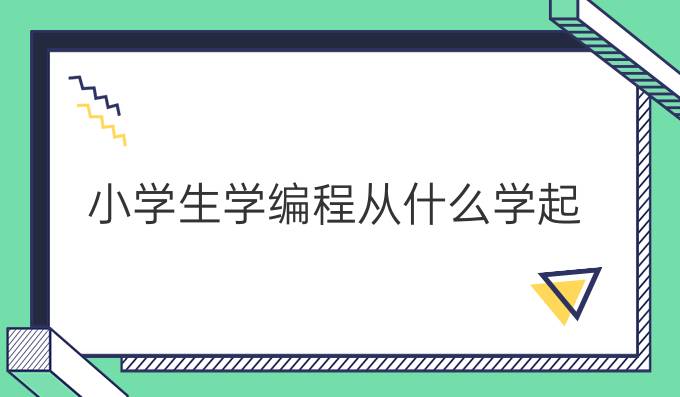 小学生学编程从什么学起