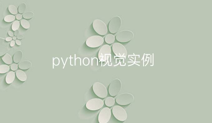 python视觉实例