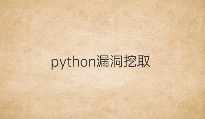 python漏洞挖取